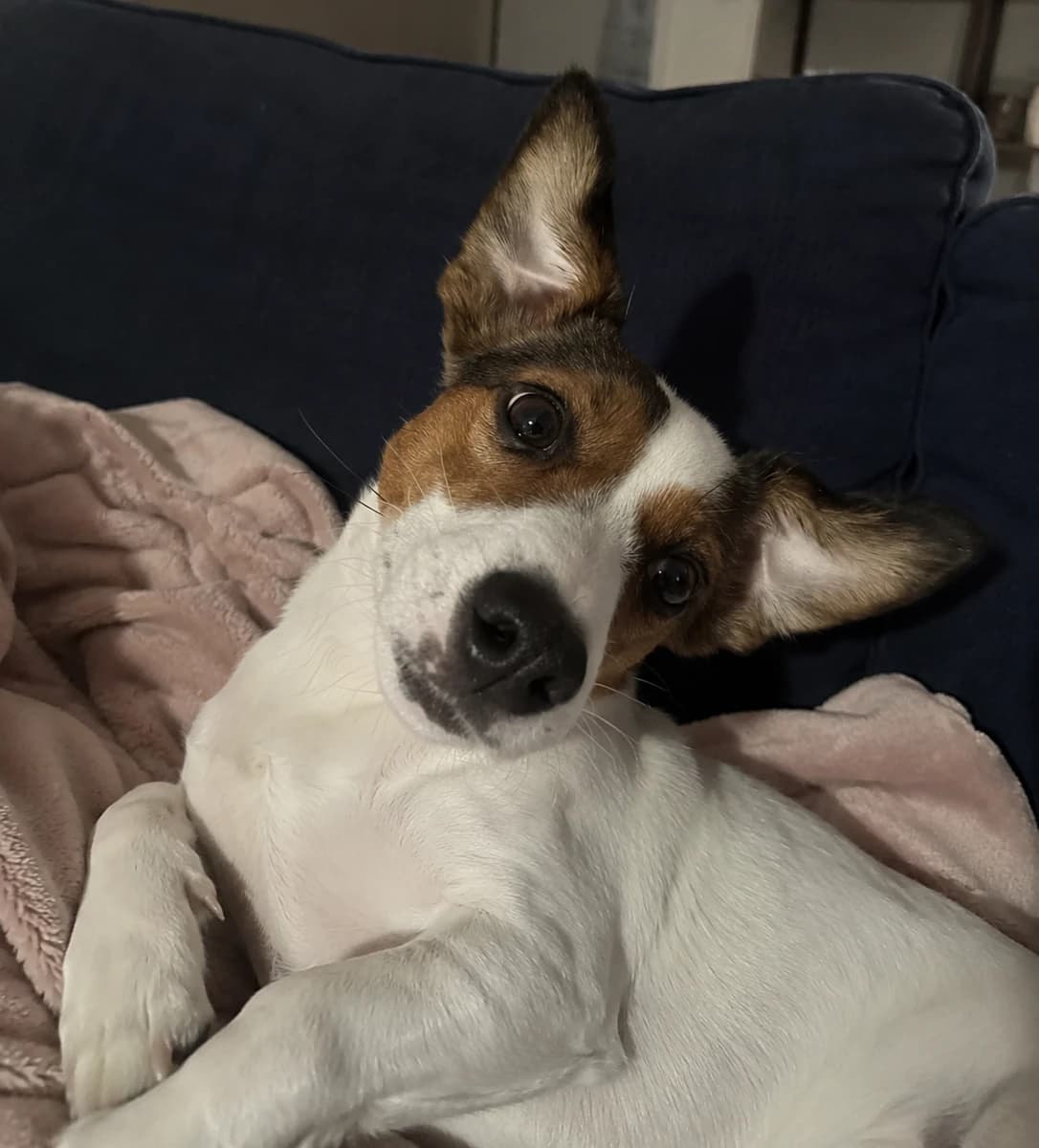 Zoe, Hartwork's Chief Catch Officer